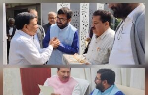 विकास की संरचना, सांसद की परिकल्पना