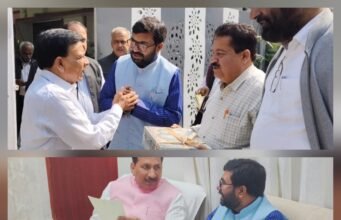 विकास की संरचना, सांसद की परिकल्पना