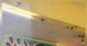 स्वच्छता के प्रति जागरूक हुआ आम जन मानस : बंटी विवेक साहू सांसद ने 322.789 लाख की लागत से निर्मित किए जा रहे जल प्रबंधन के प्लांट का किया भूमिपूजन