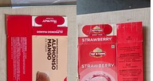 सजग रहे कहीं आइसक्रीम के नाम पर जहर तो नहीं खा रहे हैं आप?